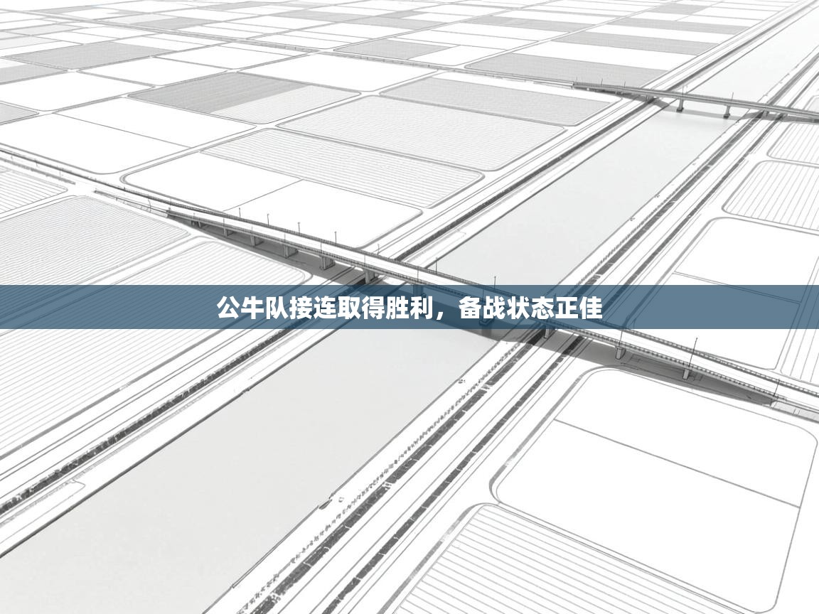 公牛队接连取得胜利，备战状态正佳