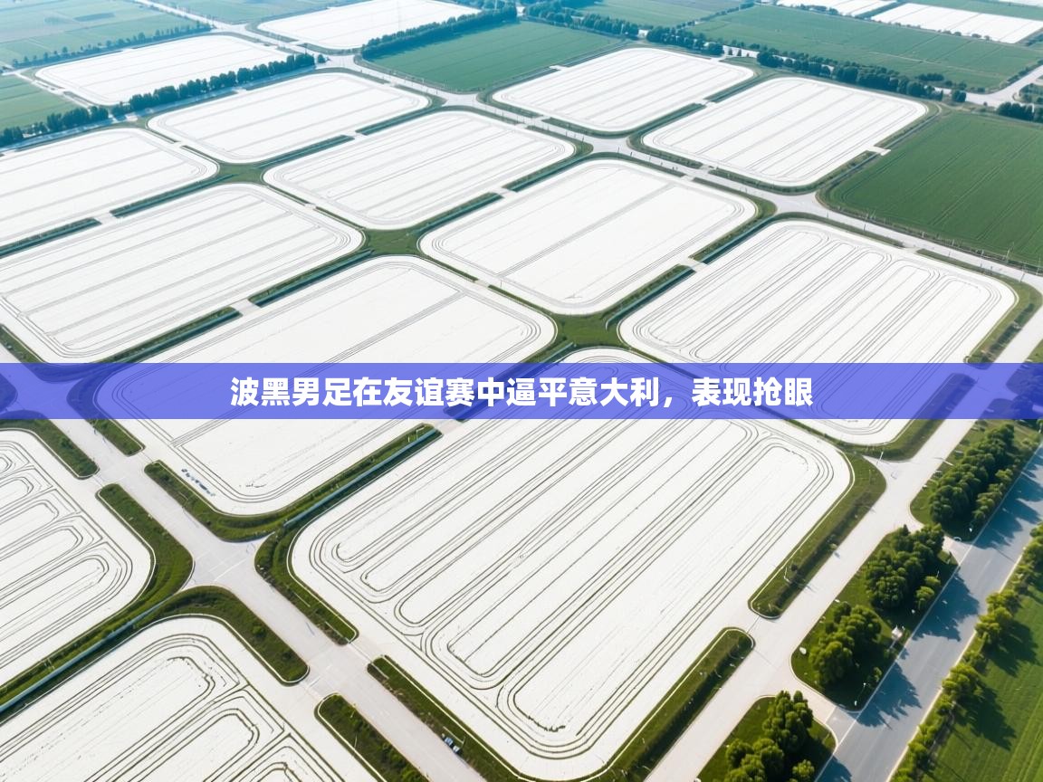 波黑男足在友谊赛中逼平意大利，表现抢眼