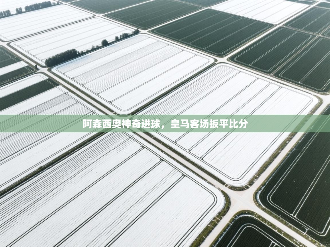 阿森西奥神奇进球，皇马客场扳平比分  第2张