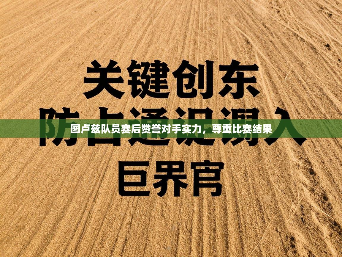 图卢兹队员赛后赞誉对手实力，尊重比赛结果  第1张