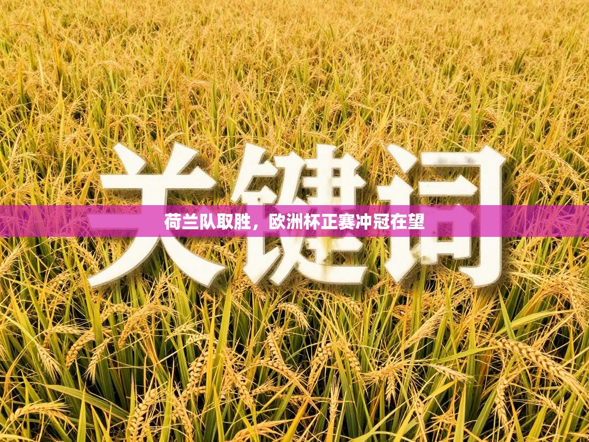 荷兰队取胜，欧洲杯正赛冲冠在望  第2张