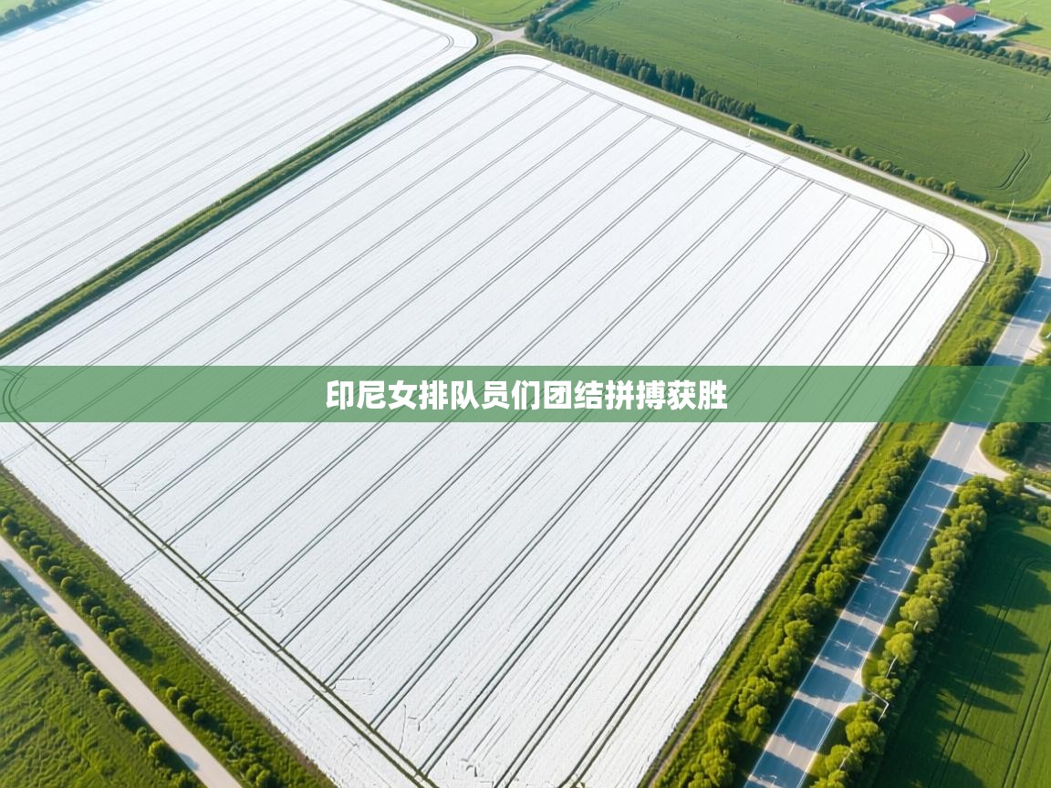 印尼女排队员们团结拼搏获胜