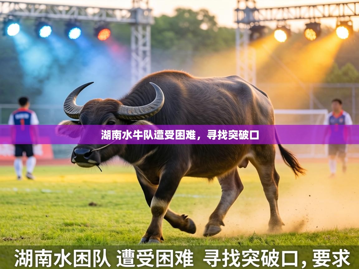 湖南水牛队遭受困难，寻找突破口